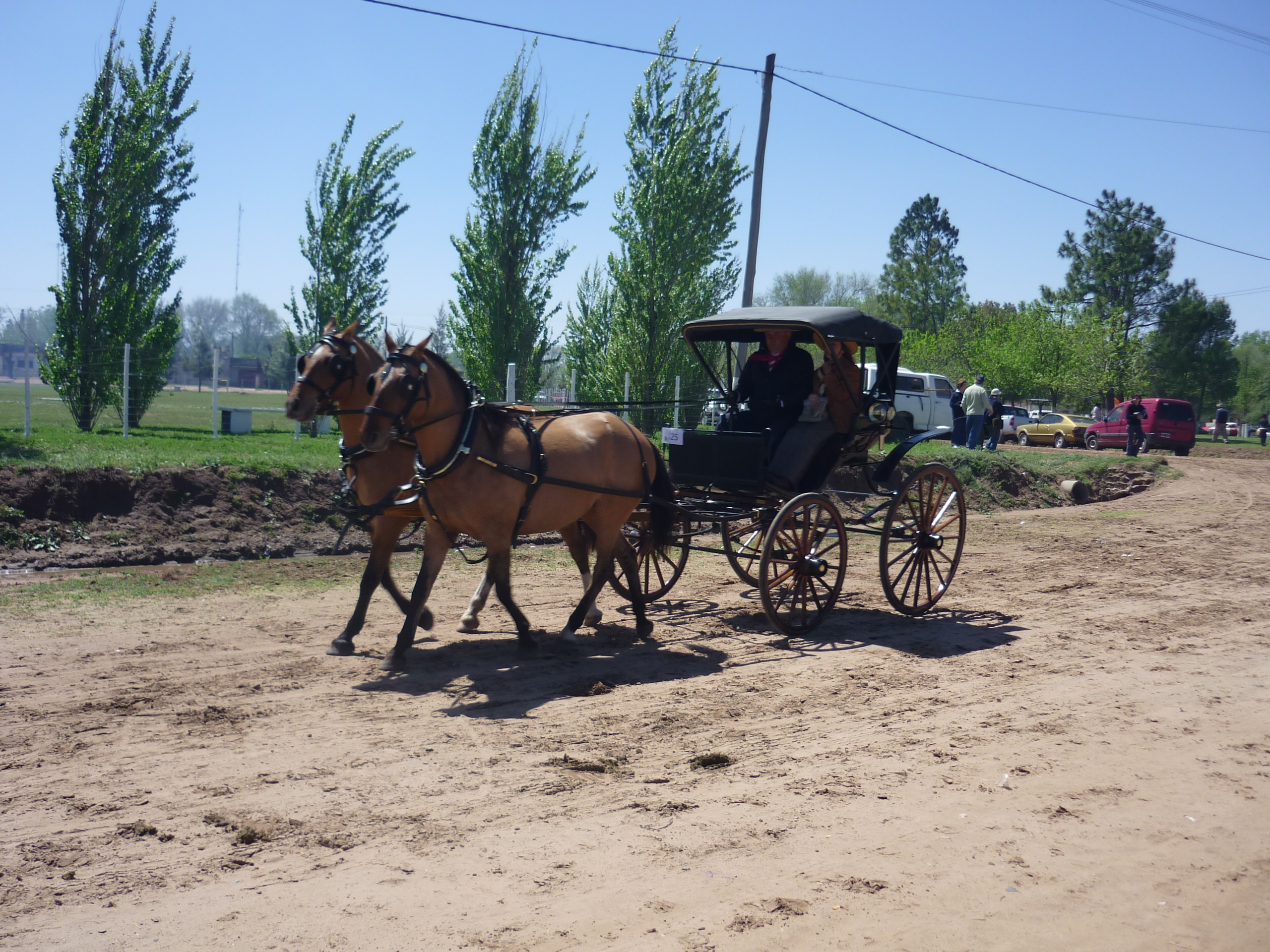 fotos/2009-10-11 - Fiesta del Cordero/P1000429.JPG